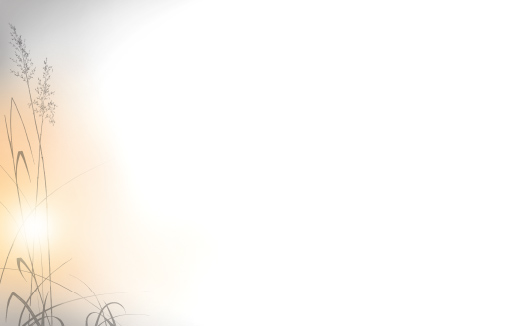 Bild - 10-danksagungle crépuscule: 
