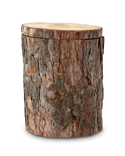 Bild - 15-urneUrne en bois pin ; caractéristique : biodégradable: 
